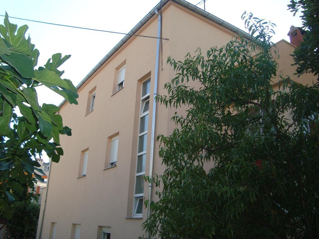 Apartment And Antonio *